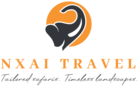 NXAI TRAVEL DMC logo